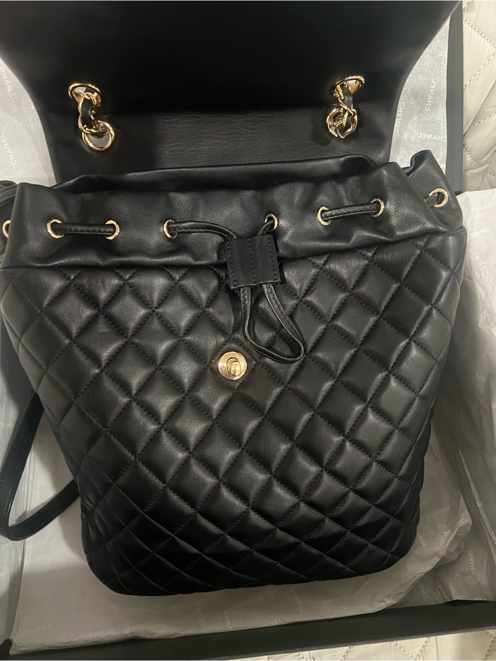 Chanel Quilted Lambskin Backpack - Picture 9 of 10